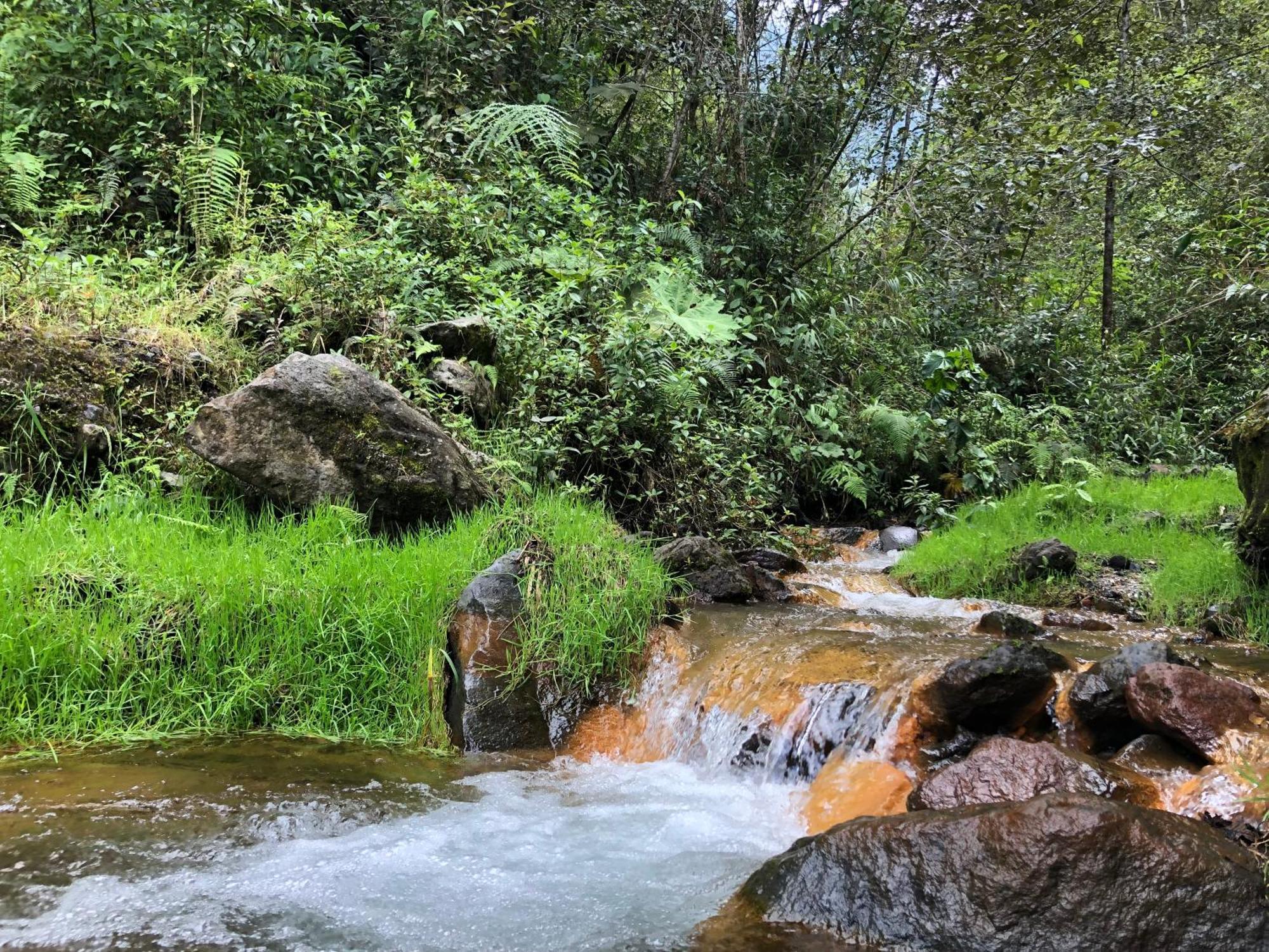High-End Holiday Cabin - Tungurahua Hot Springs Баньос Экстерьер фото